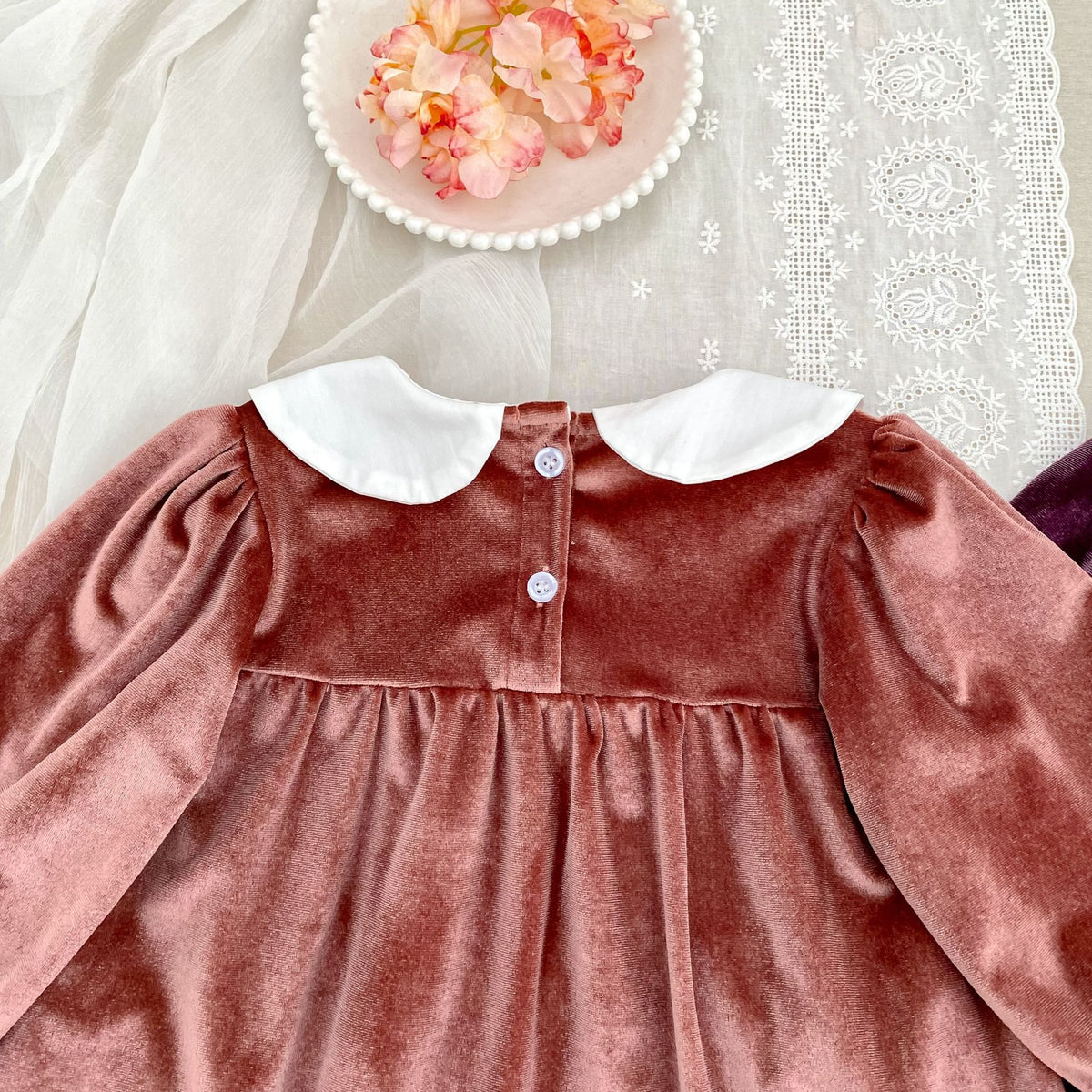 (Pre Order 2 Weeks)Sisters Fall Embroidery Collar Velvet Dress