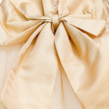 (In Production)Girls Spring&Summer Champagne Sequin Tulle Dress