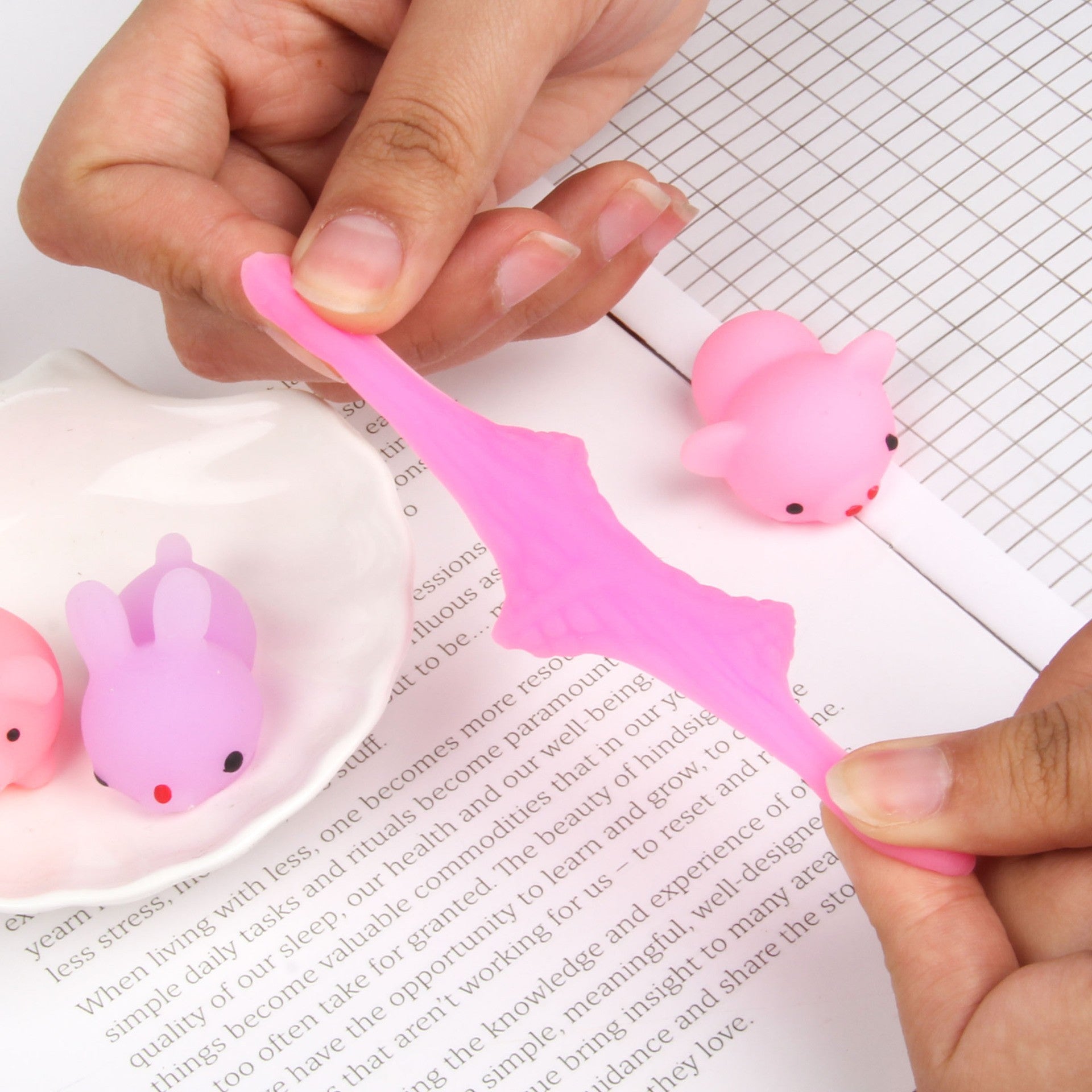 (Pre Order)Squeeze Animal, Dino, Fruit Toy