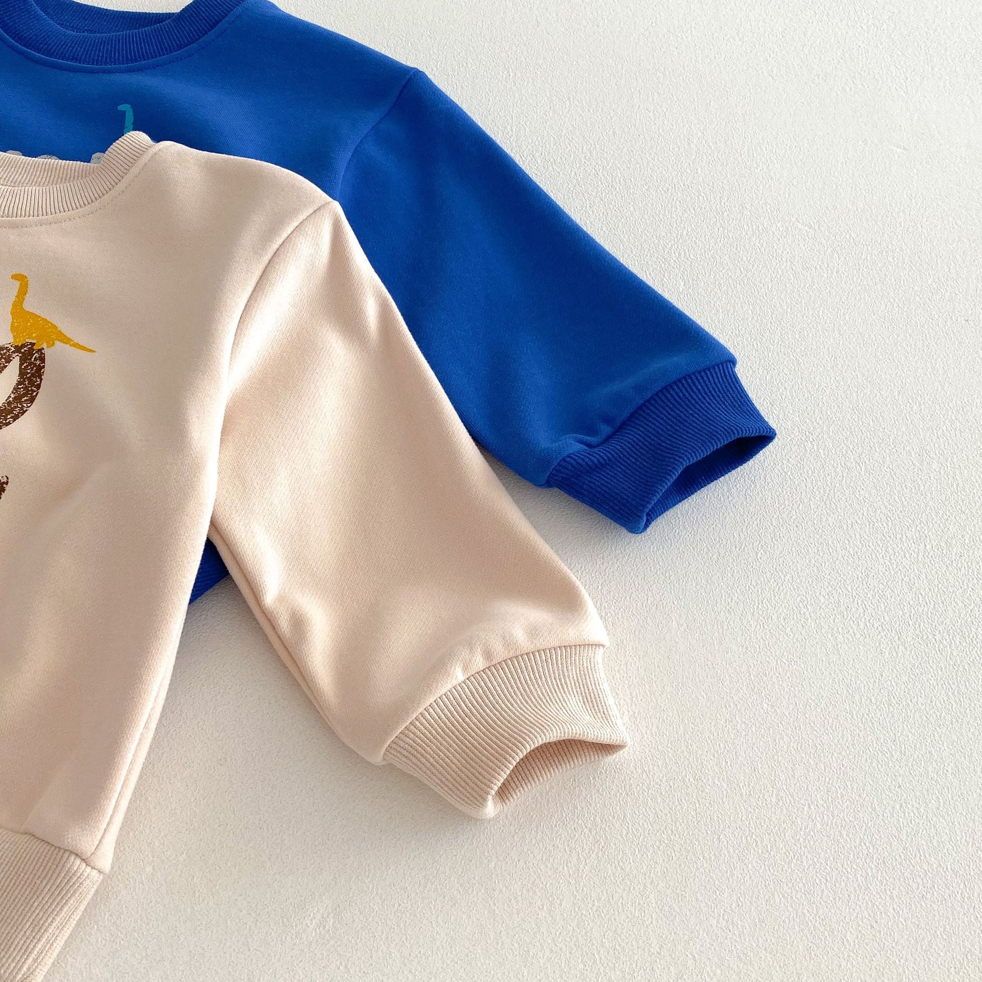 (Pre Order 2 Weeks)Boys Fall Dino Print Sweatshirt Set
