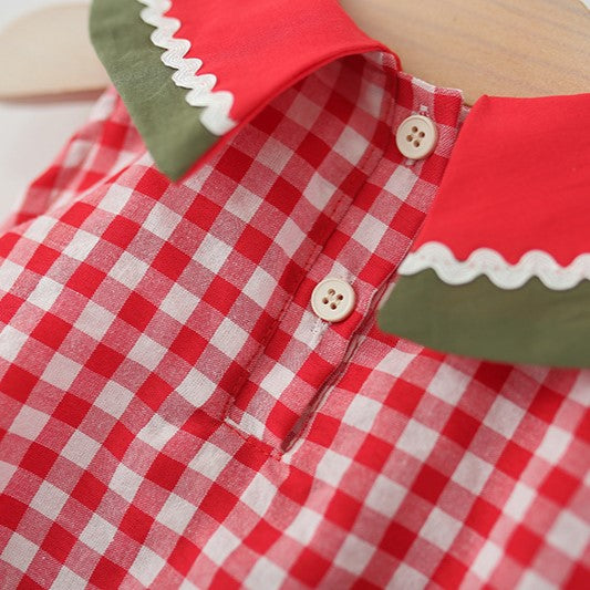(In Production)Girls Spring and Summer Watermelon Embroidery Dress
