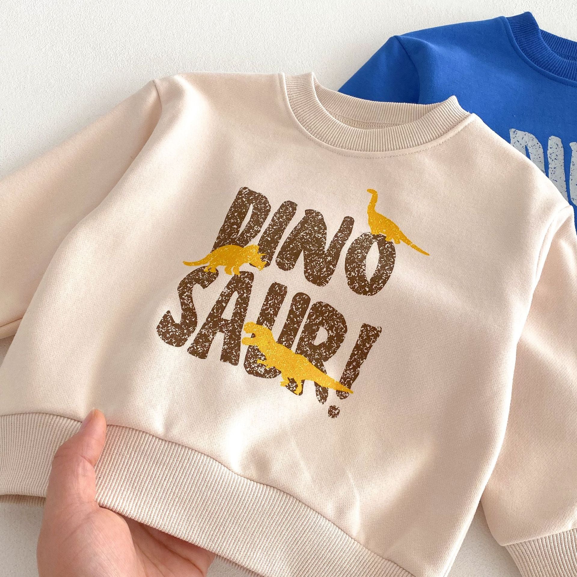 (Pre Order 2 Weeks)Boys Fall Dino Print Sweatshirt Set