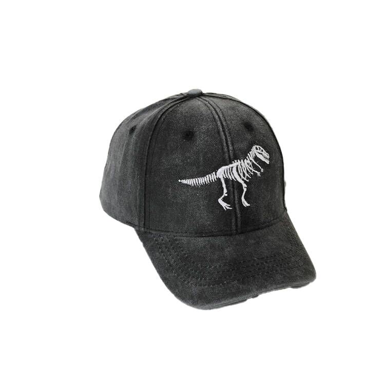 (Pre Order)Kids Dinosaur Embroidered Baseball Cap