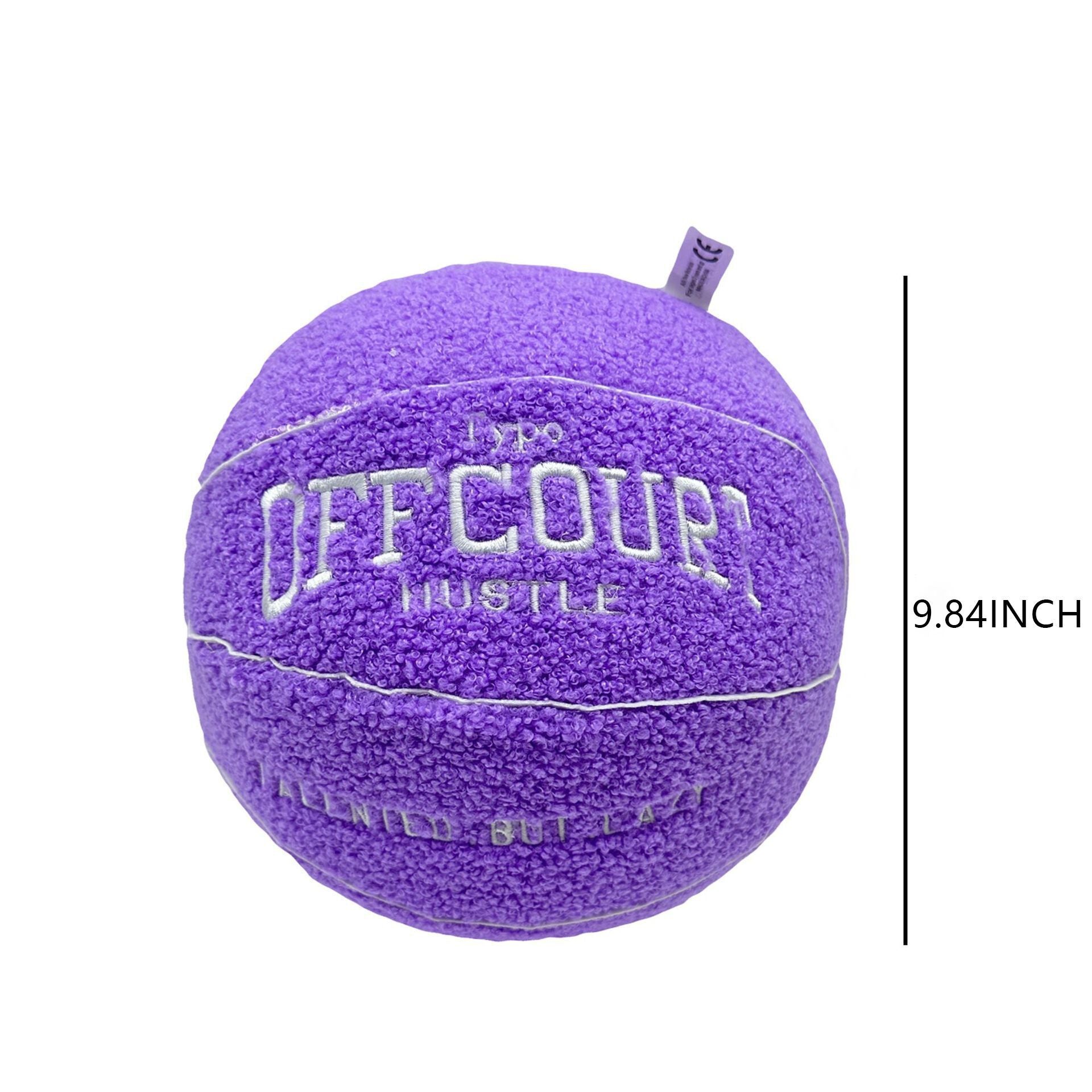 (Pre Order)Off court Basketball Pillow