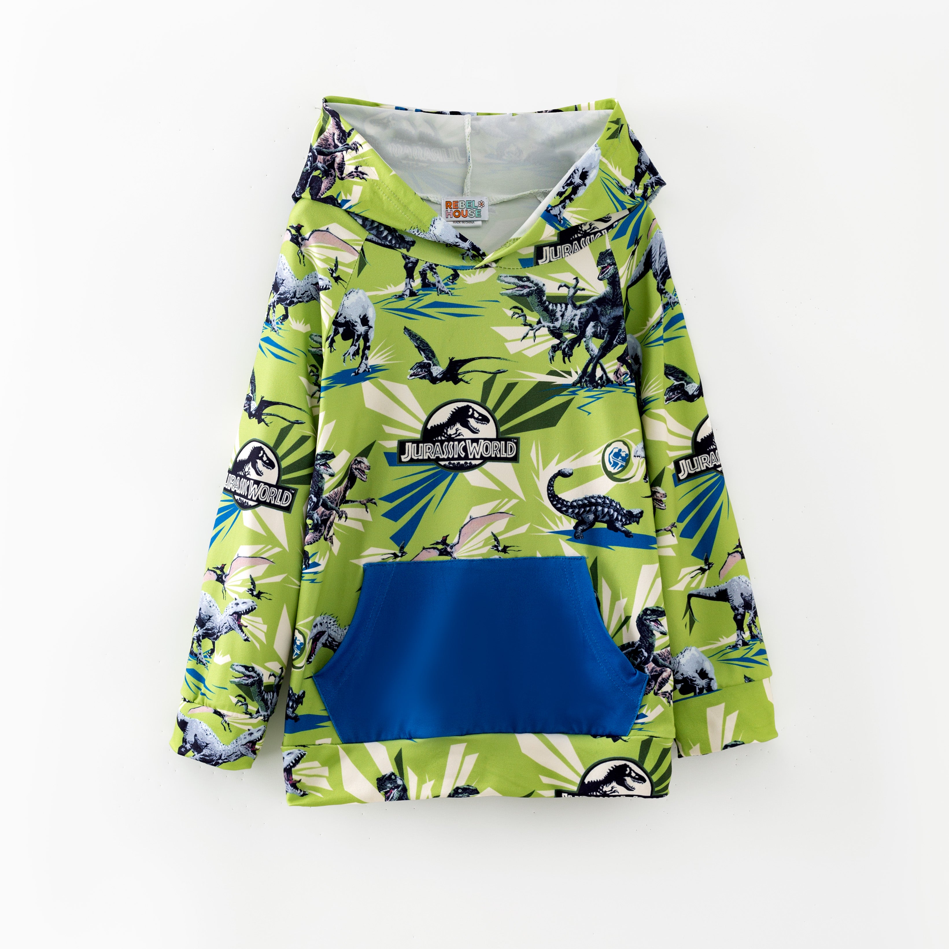 （Pre Order,Prepack Zone）Boys Fall&Winter Dino Print Hoodie（Mix Size）