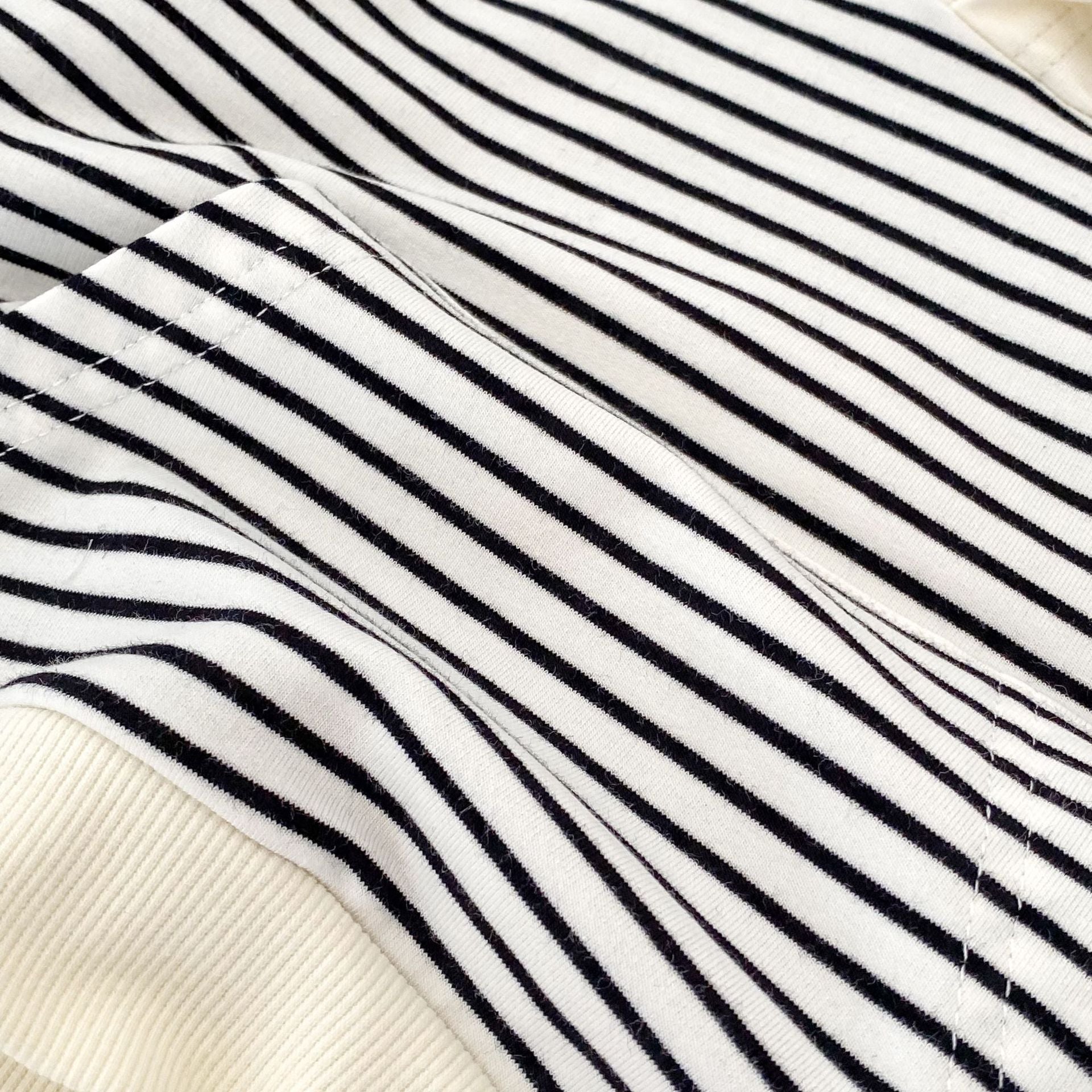 （Pre Order 2 Weeks）Unisex Fall Stripe Hoodie