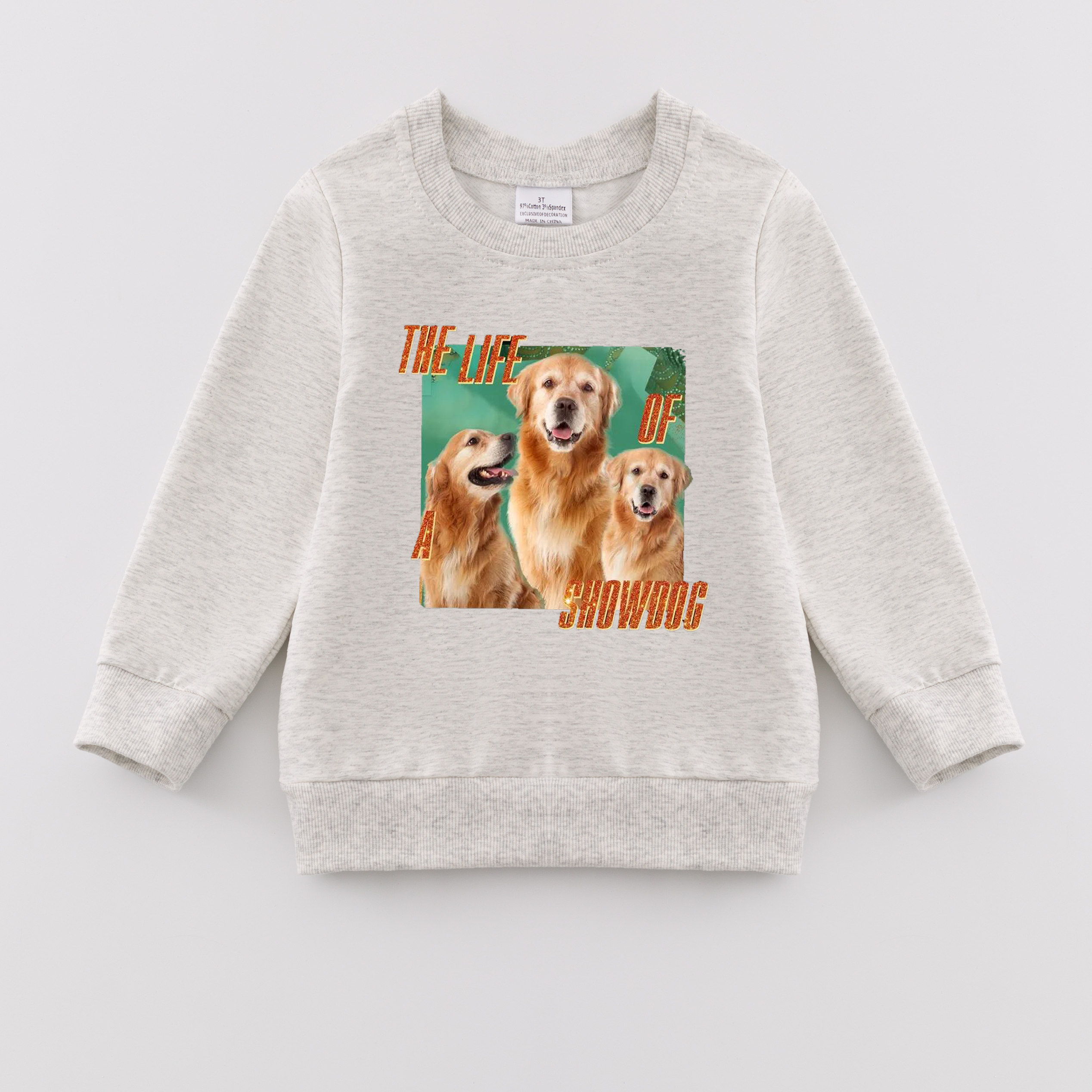 （Pre Order）Girls TS Print Cotton Sweatshirt
